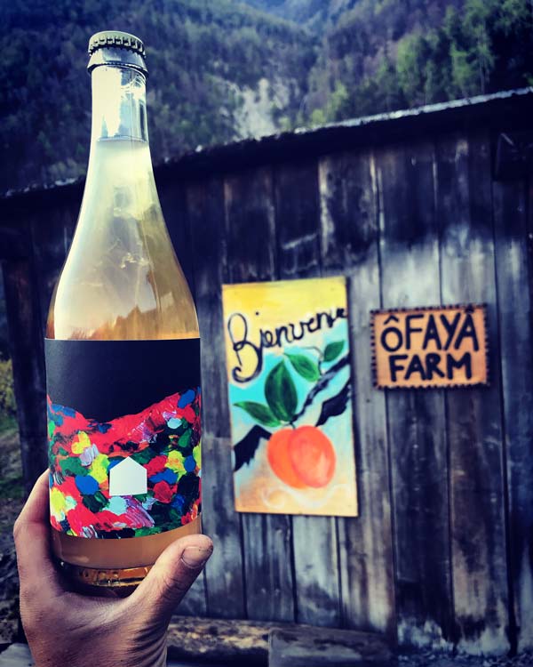 Vins O Faya Farm